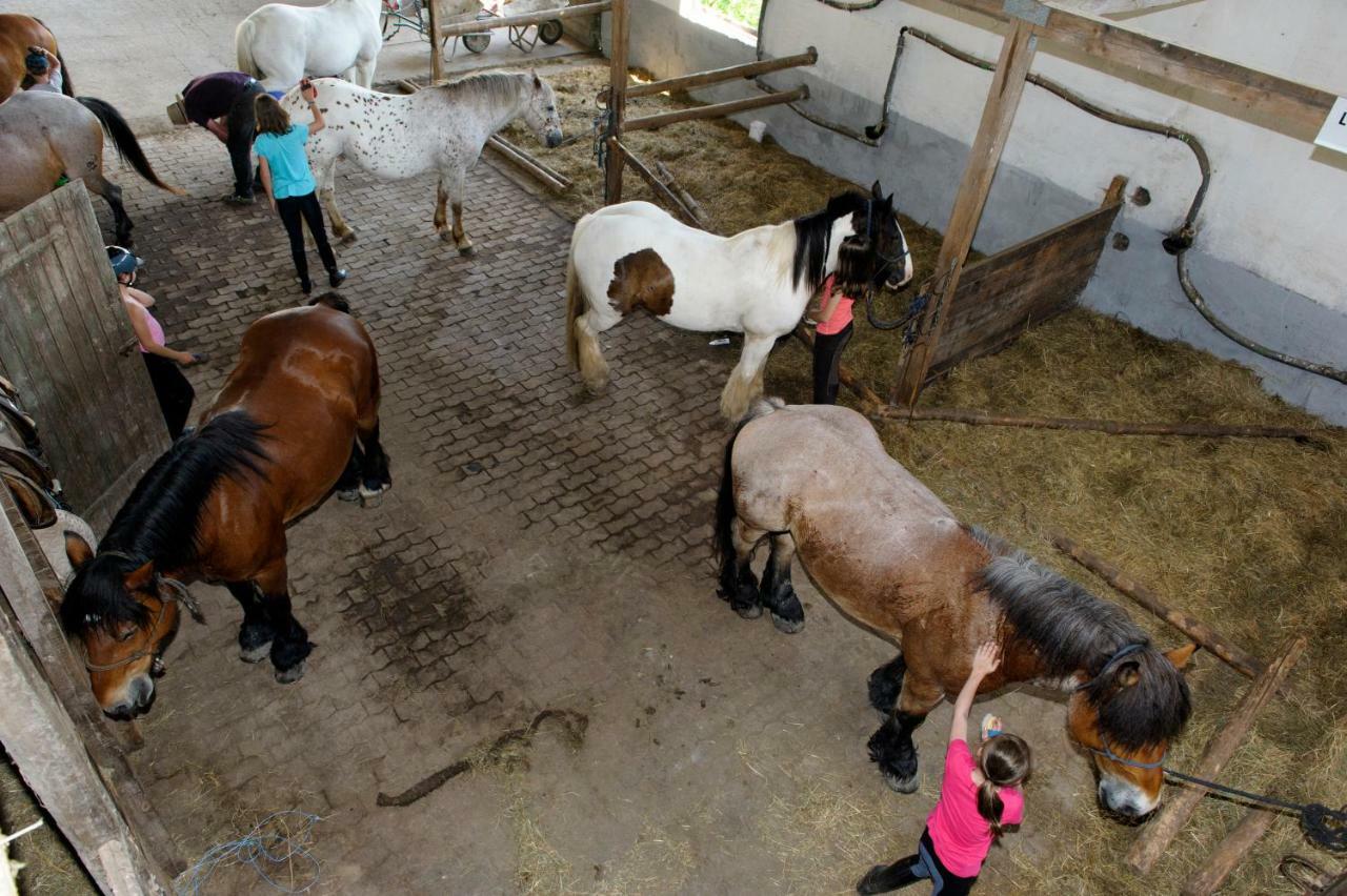 Nengshof Ferienhaus Gaensebluemchen Wißmannsdorf Dış mekan fotoğraf